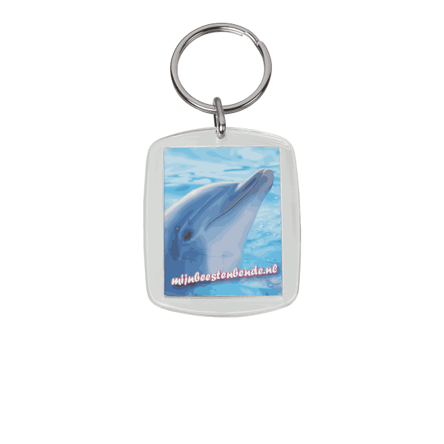 plexiglas sleutelhanger met foto dolfijn