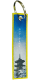 Remove Before Flight tags 8501